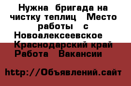 Нужна  бригада на чистку теплиц › Место работы ­ с Новоалексеевское  - Краснодарский край Работа » Вакансии   